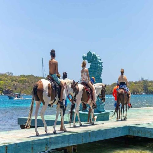 Discover Little French Key